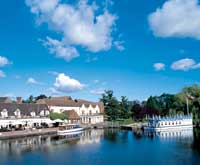 Swan at Streatley, Reading