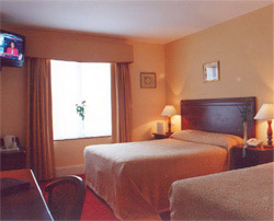 Killeline Lodge, Newcastle West, Co Limerick