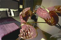 manchester hotels, malmaison