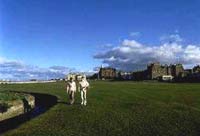 rusacks hotel, st andrews , fife, scotland